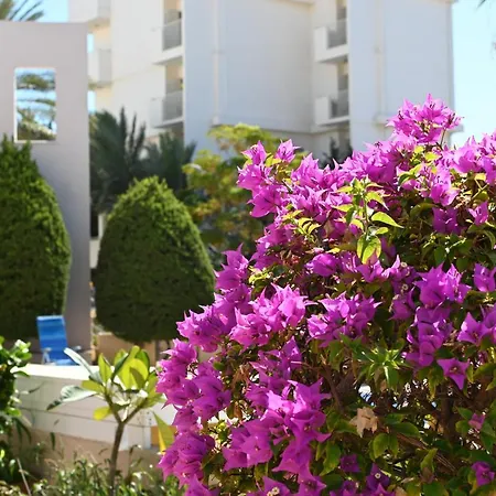 Appartement отдыхайте с удовольствием Paphos